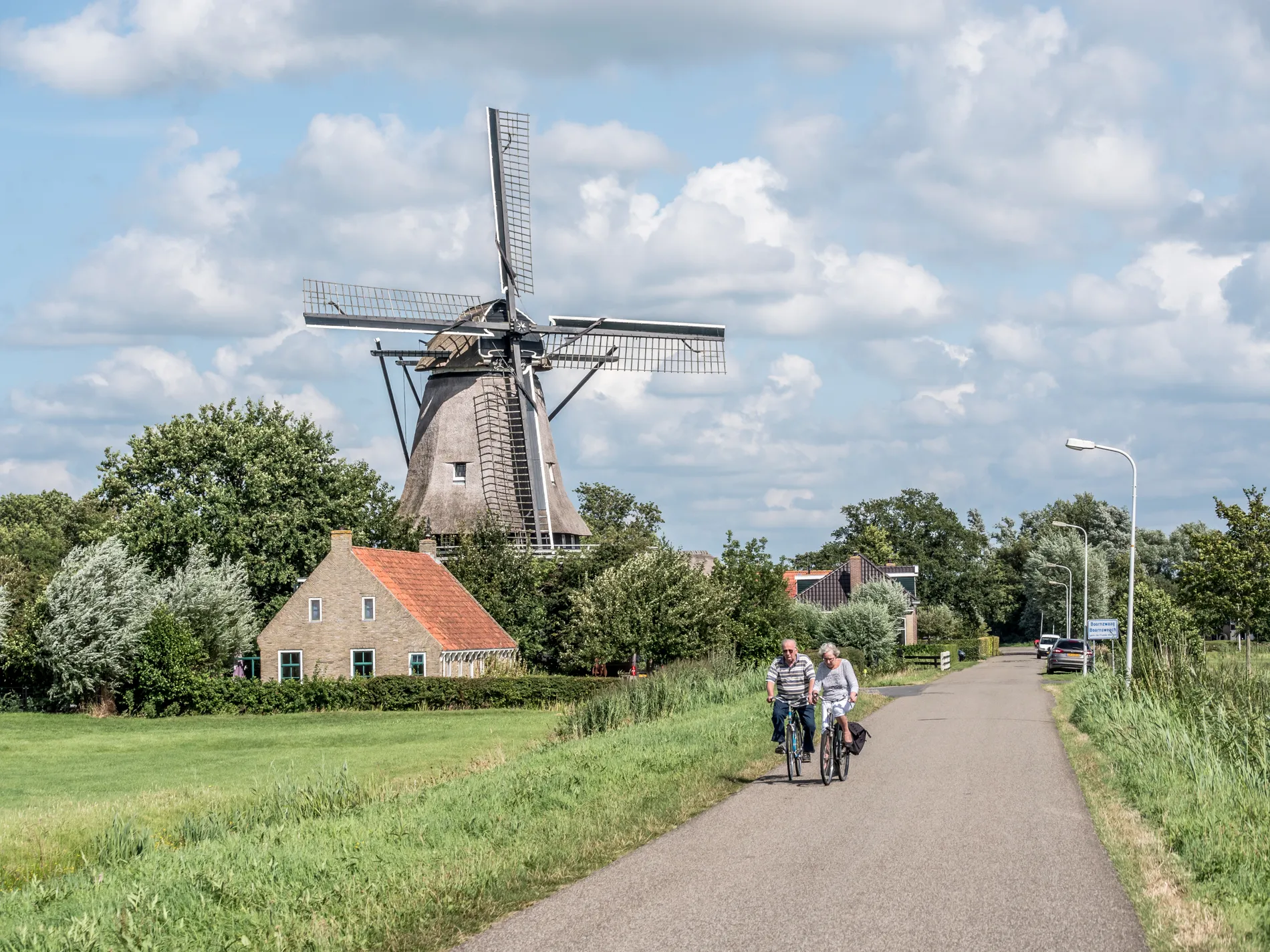 Een fietspad door het Friese landschap met bomen aan weerszijden.